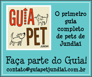 Que animais são os personagens Tico e Teco?